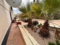 Spiritual retreat in Sax with endless possibilities in Spanish Fincas