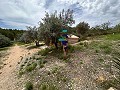 Spiritual retreat in Sax with endless possibilities in Spanish Fincas