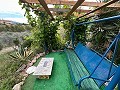 Spiritual retreat in Sax with endless possibilities in Spanish Fincas