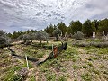 Spiritual retreat in Sax with endless possibilities in Spanish Fincas
