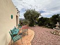 Spiritual retreat in Sax with endless possibilities in Spanish Fincas