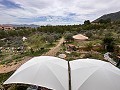 Spiritual retreat in Sax with endless possibilities in Spanish Fincas