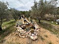 Spiritual retreat in Sax with endless possibilities in Spanish Fincas