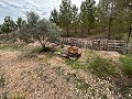 Spiritual retreat in Sax with endless possibilities in Spanish Fincas