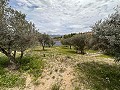 Spiritual retreat in Sax with endless possibilities in Spanish Fincas