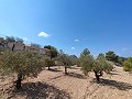 Superb 4-bedroom villa with pool and unbeatable views in Fortuna. in Spanish Fincas