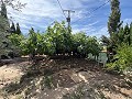 Spacious house with garage and plot: a house with great potential in Spanish Fincas