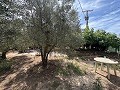 Spacious house with garage and plot: a house with great potential in Spanish Fincas
