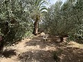 Spacious house with garage and plot: a house with great potential in Spanish Fincas
