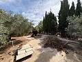 Spacious house with garage and plot: a house with great potential in Spanish Fincas