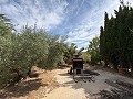 Spacious house with garage and plot: a house with great potential in Spanish Fincas