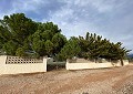 Beautiful Finca in Sax 2 Bed 1 Bath With Potential For Much More. in Spanish Fincas