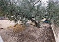 Beautiful Finca in Sax 2 Bed 1 Bath With Potential For Much More. in Spanish Fincas