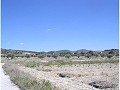 Plot of land for sale in (Rincon Del Moro.) Sax in Spanish Fincas