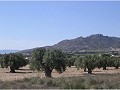 Plot of land for sale in (Rincon Del Moro.) Sax in Spanish Fincas