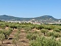 3 Bedroom villa perfect for horse lovers in Spanish Fincas