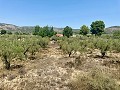 3 Bedroom villa perfect for horse lovers in Spanish Fincas