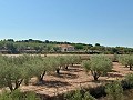 3 Bedroom villa perfect for horse lovers in Spanish Fincas