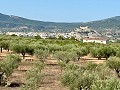 3 Bedroom villa perfect for horse lovers in Spanish Fincas