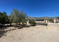 Beautiful 3 Bed Villa in Salinas close to town. in Spanish Fincas