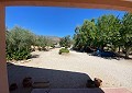 Beautiful 3 Bed Villa in Salinas close to town. in Spanish Fincas