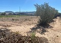 Beautiful 3 Bed Villa in Salinas close to town. in Spanish Fincas