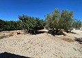 Beautiful 3 Bed Villa in Salinas close to town. in Spanish Fincas