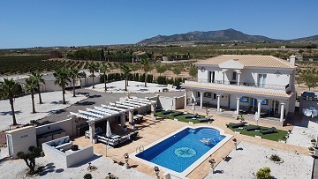Villas de obra nueva con efecto 'wow' en Pinoso