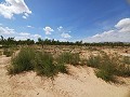 Gastenverblijf, garage en perceel te koop in Pinoso. in Spanish Fincas