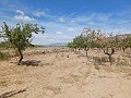 Gastenverblijf, garage en perceel te koop in Pinoso. in Spanish Fincas