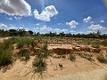 Gastenverblijf, garage en perceel te koop in Pinoso. in Spanish Fincas