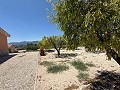Charmante propriété de campagne près de Castalla – Idéale pour une maison familiale ou une opportunité de chambres d'hôtes in Spanish Fincas