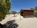 Charmante propriété de campagne près de Castalla – Idéale pour une maison familiale ou une opportunité de chambres d'hôtes in Spanish Fincas