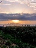 Atemberaubendes Landhaus in Spanish Fincas