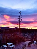 Spiritueller Rückzugsort in Sax mit endlosen Möglichkeiten in Spanish Fincas