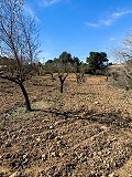 Magnifique ferme équestre hors réseau à Almansa in Spanish Fincas