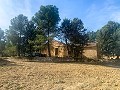 Magnifique ferme équestre hors réseau à Almansa in Spanish Fincas