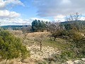 Magnifique ferme équestre hors réseau à Almansa in Spanish Fincas
