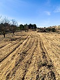 Magnifique ferme équestre hors réseau à Almansa in Spanish Fincas