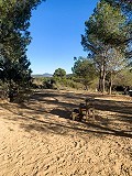 Magnifique ferme équestre hors réseau à Almansa in Spanish Fincas