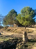 Magnifique ferme équestre hors réseau à Almansa in Spanish Fincas