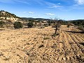 Magnifique ferme équestre hors réseau à Almansa in Spanish Fincas