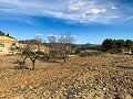 Magnifique ferme équestre hors réseau à Almansa in Spanish Fincas