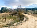 Magnifique ferme équestre hors réseau à Almansa in Spanish Fincas