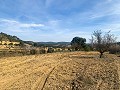 Magnifique ferme équestre hors réseau à Almansa in Spanish Fincas