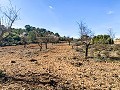 Magnifique ferme équestre hors réseau à Almansa in Spanish Fincas