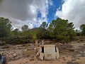 Schönes Landhaus mit 3 Schlafzimmern und 1 Bad in Yecla. in Spanish Fincas