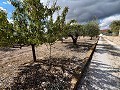 Encantadora casa de campo in Spanish Fincas