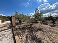 Encantadora casa de campo in Spanish Fincas