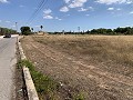 Villa avec 4 chambres et 2 salles de bain, grand terrain avec espace pour piscine, écuries ou entreprise in Spanish Fincas
